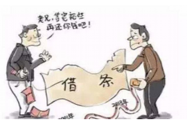 张家界债务清欠服务